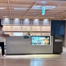 노천초등학교 | 양양 설해원 온천수영장 후기 | 생각보다 좋았던 노천스파와 온천수영장