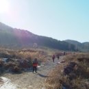 2. 2011년 1월1일 산행 (延壽山 1) 이미지