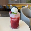 [투썸 베리 리치 프라페] 투썸 플레이스 음료 추천/베리 리치 후기 및 가격, 칼로리