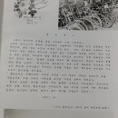 화순동복중학교 네이버블로그