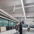 코리안탑팀 강서 이미지