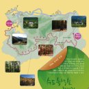 모티 - 북구 신기11길 40 | 모티