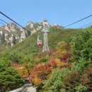 보리카매니아 이미지