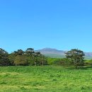 가라월라 이미지