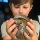 아기다람쥐 이미지