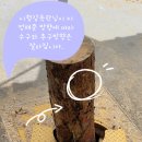 청림조경 이미지