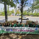 봉오대로 이미지