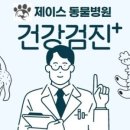 제이스동물병원 네이버블로그