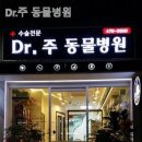 Dr.주 동물병원 이미지