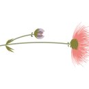 아이비부동산공인중개사사무소 이미지