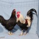 현인농원 이미지