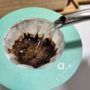 힐링 홈카페 | 초콜릿 원두향 로스팅트리 다크트리 No.3 아침힐링 홈카페 필수 홀빈 원두 보관방법 다크한데 부드러운...