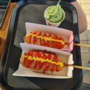 5-033 TS | 춘천 의암호 자전거 라이딩