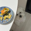 가을 일상 (1)
