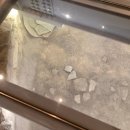 N6002 | 포시즌스 호텔 더마켓키친 주말 런치 가격, 서울 호텔 뷔페 추천