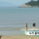 임춘식