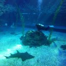 서광이지 이미지