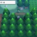 대동한약방 - 용인시 처인구 양지로143번길 17-7 | 대동한약방