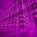 넥스트온 이미지