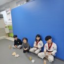 용인대 수영 태권도장 이미지