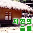 삼보페인트 이미지