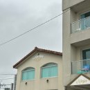 네르하쏠 이미지