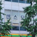 센스모 | 장항동 맞춤 가발 후기 센스모에서 찾은 자연스러운 변신