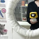 [일반] 라탄 공예 원데이클래스(조명 만들기) / 오전 / 24.09.02 | 사내 동호회 프로그램 추천! 역삼 터프팅 단체 원데이 클래스