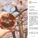 DLA 인스타그램 이벤트 4월 6일~4월 16일 동안 진행!! 발표는 4/19 수요일!! 이미지