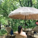 더포레D 이미지