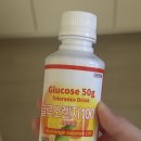 아이산산부인과 | 토마 육아일기 | 24주 공포의 임당 검사 + 정밀 초음파 | 아이산 산부인과 후기 | 임당 결과