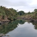 제주 올레길 4코스 이미지