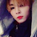 세진