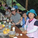 수동골 Daum카페