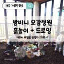 제주에서 오감으로 놀다, 밤비니오감정원 제주원데이클래스 후기