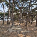 서해랑길 91코스 이미지