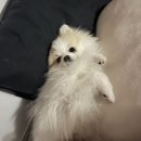 올데이 멍데이 이미지