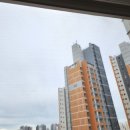 삼환(아) 이미지
