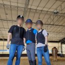 교하운정스카이승마장 | 승마 체험 (교하운정스카이 승마장)