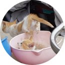 청마루농장 이미지