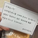 허니농장 | 자연 그대로의 건강함, 숲속 자연농장 뉴와일드 허니 아카시아꿀 솔직 리뷰