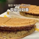 와플대학동탄목동캠퍼스