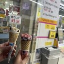 원도안로-22 이미지