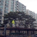 진산로66번길 이미지