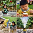 현대농장(3) | 하늘의별딸기 | 화성시 신상 딸기농장, 모래놀이, 사진 맛집 ✨️🍓