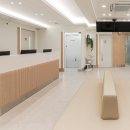 수노을동물병원 | 부평동물병원 강아지 이개혈종 후기