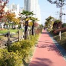 임항선그린웨이(북마산역) 이미지