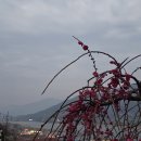 강숙이농장 이미지