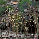 한라전설(주) 이미지