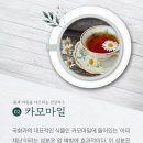 몸과마음 이미지